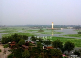 白洋淀热气球空中赏万亩荷塘