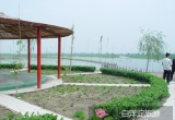 白洋淀水乡民俗村--王家寨民俗村