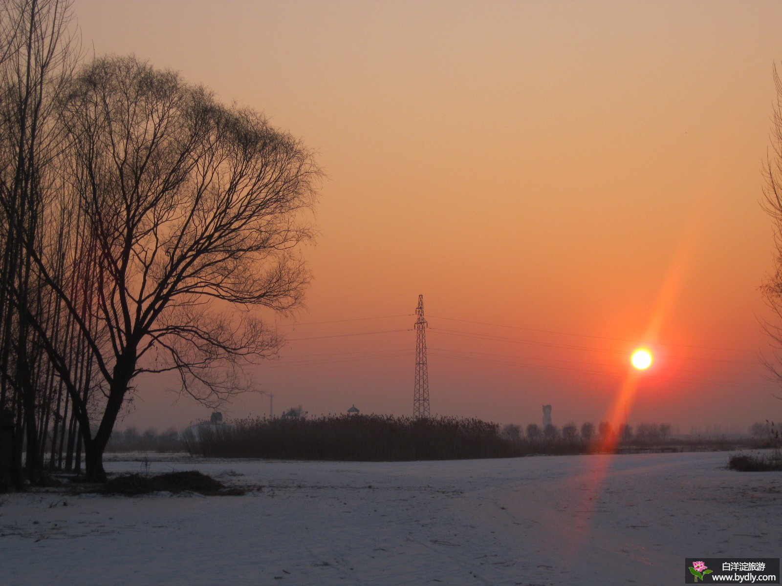 2013118133346450.jpg