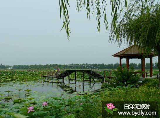201342381040121.jpg