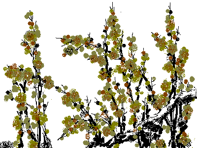 梅花3.bmp
