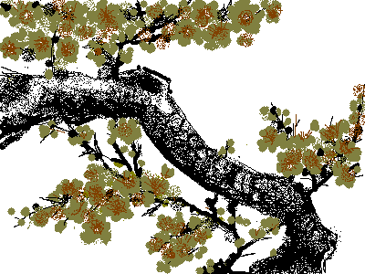 梅花5.bmp