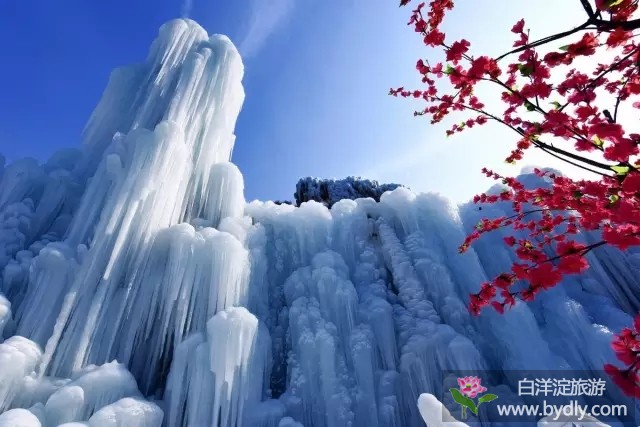 640.webp (9).jpg