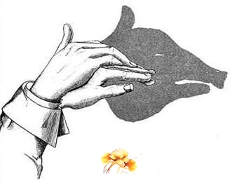 54887620459757985.jpg
