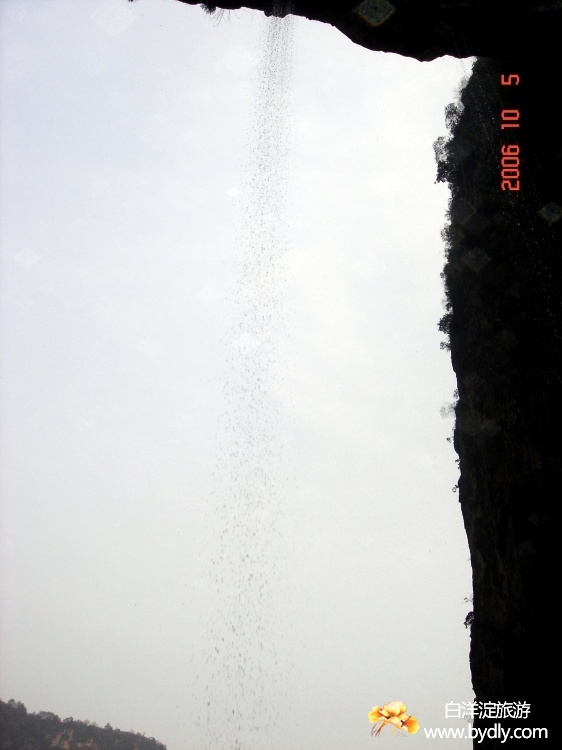 2604769434497440732.jpg
