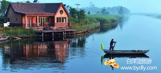 B02.jpg