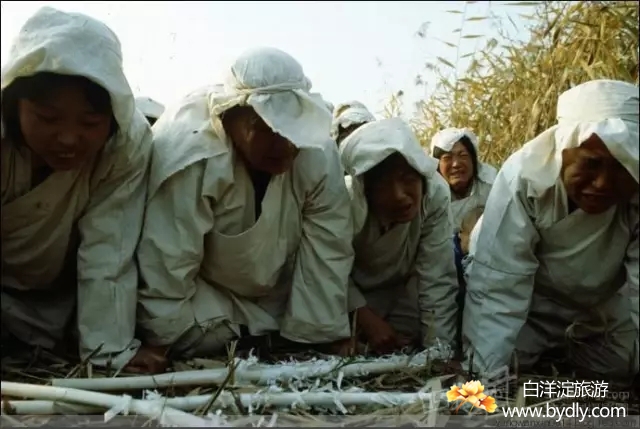 004图片批量下载.jpg
