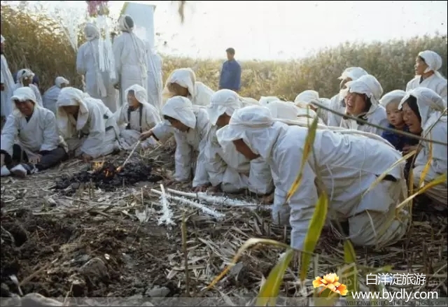 007图片批量下载.jpg