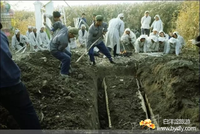 005图片批量下载.jpg