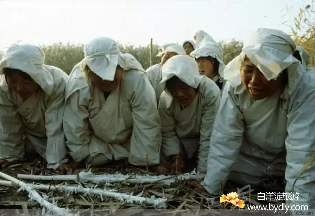 006图片批量下载.jpg