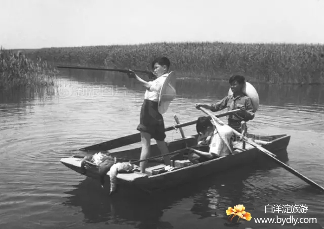 004图片批量下载.jpg