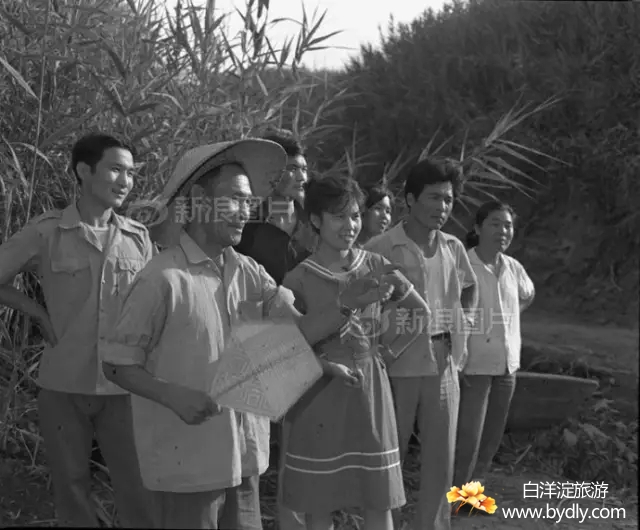 003图片批量下载.jpg
