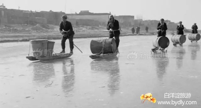 007图片批量下载.jpg