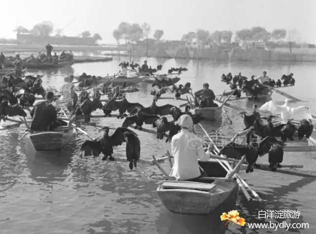 006图片批量下载.jpg