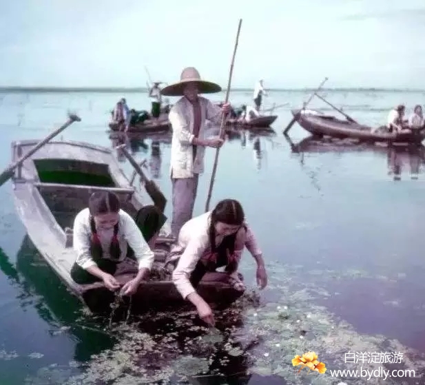 011图片批量下载.jpg
