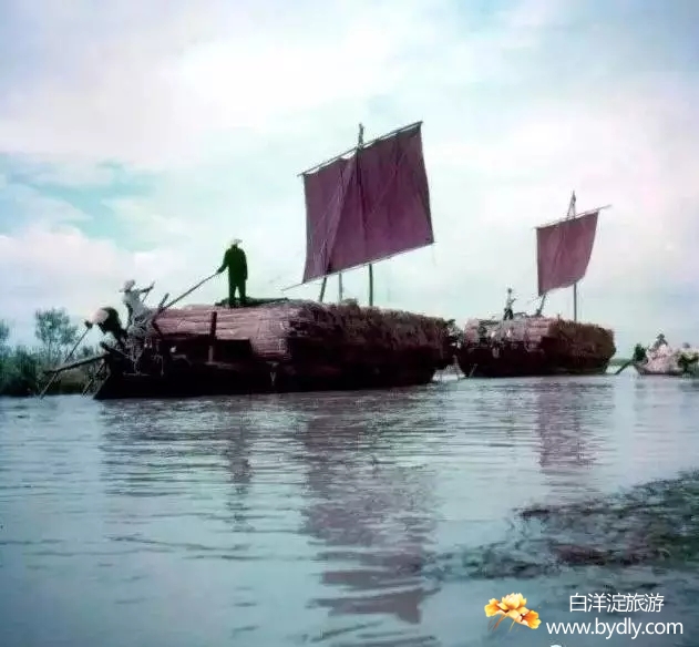 001图片批量下载.jpg
