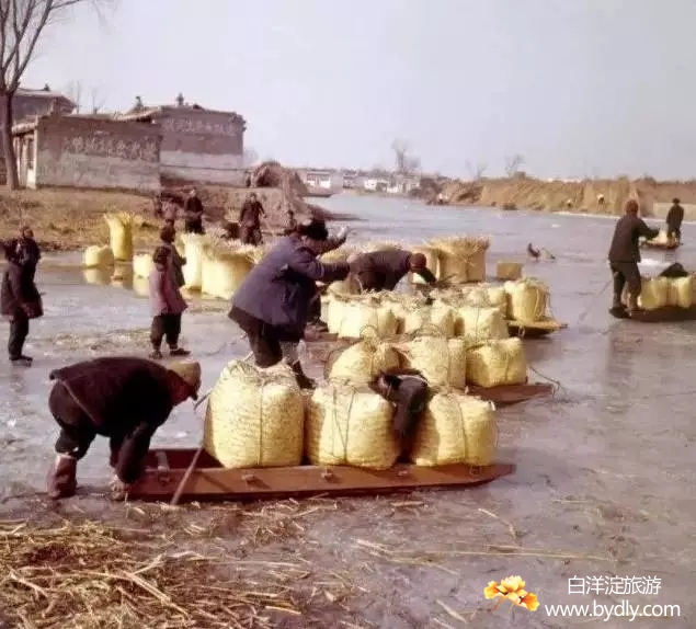 003图片批量下载.jpg