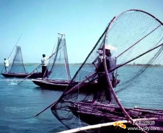 002图片批量下载.jpg
