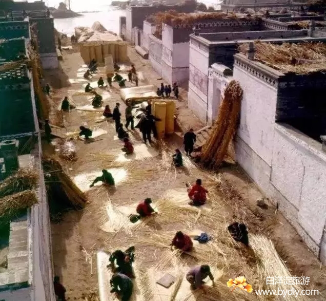 006图片批量下载.jpg