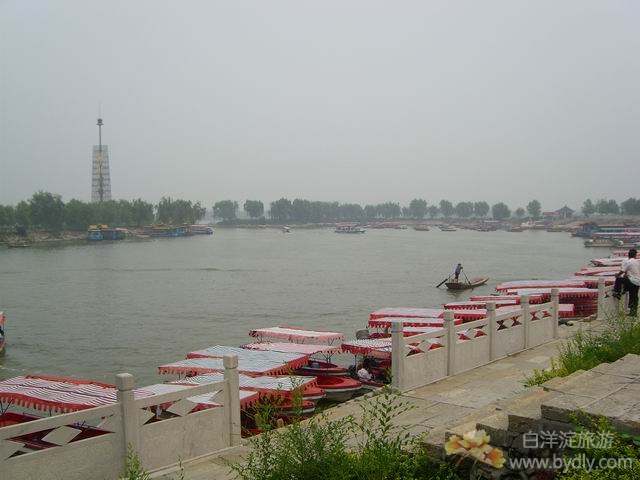B95.jpg