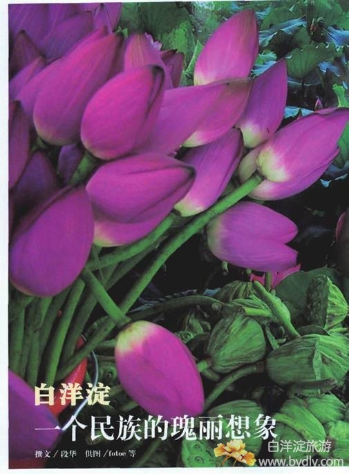 2d92d9864c54f5cc46ff79b8086876bf.jpg