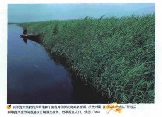 051f8f3bf305ab6e74a99f4c18cb7b05.jpg