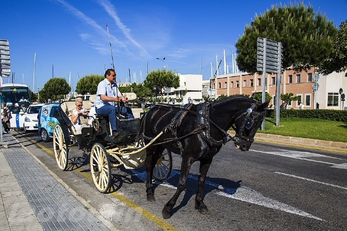 001CICTszy7ctPjcilX49&amp;690.jpg