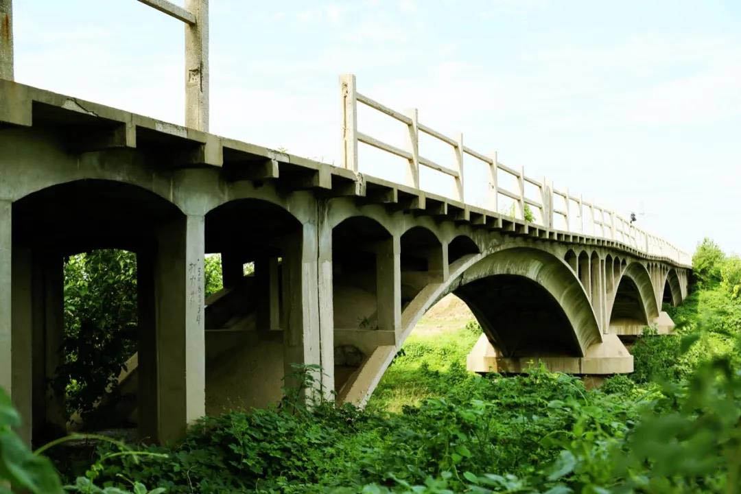 fad0f110fe8700a85cf30830a29d79b5.jpg