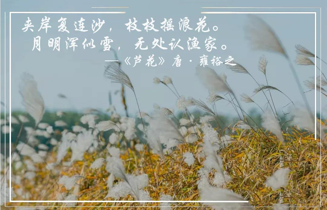 18ecd92789fb29fc1dac0c826de92cf7.jpg