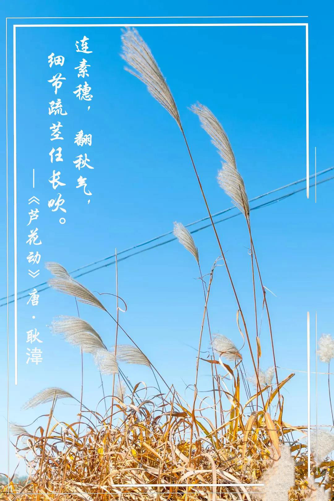 90ad13b2c9994ec3e9a690f48cdcc571.jpg