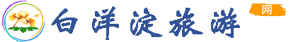 白洋淀旅游网